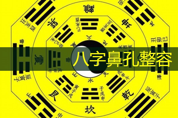  八字鼻孔整容