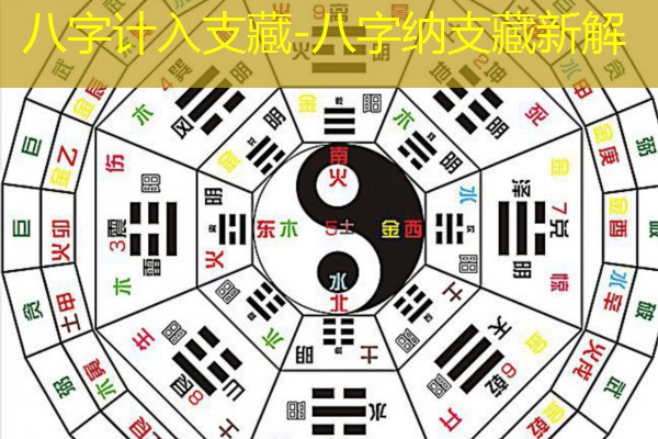  八字计入支藏-八字纳支藏新解