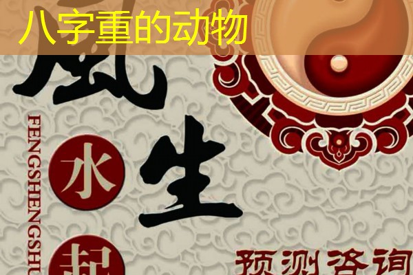  八字重的动物