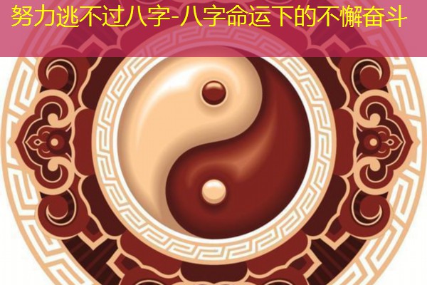 努力逃不过八字-八字命运下的不懈奋斗
