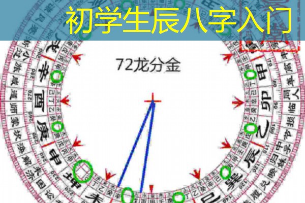  初学生辰八字入门