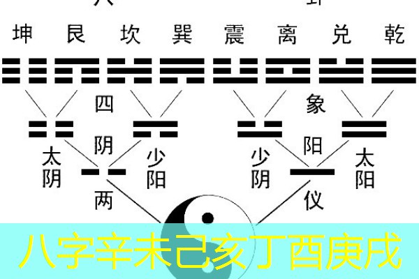  八字辛未己亥丁酉庚戌