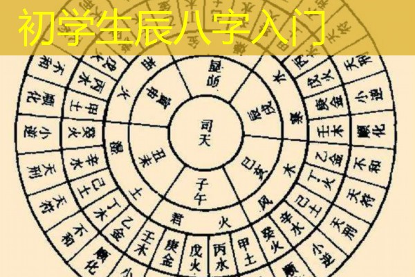  初学生辰八字入门