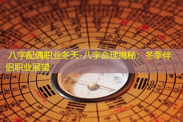  八字配偶职业冬天-八字命理揭秘：冬季伴侣职业展望