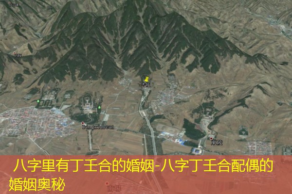  八字里有丁壬合的婚姻-八字丁壬合配偶的婚姻奥秘